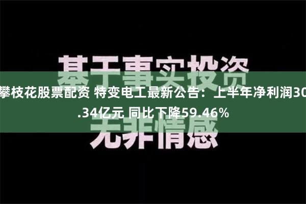 攀枝花股票配资 特变电工最新公告：上半年净利润30.34亿元 同比下降59.46%