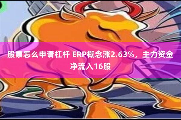 股票怎么申请杠杆 ERP概念涨2.63%，主力资金净流入16股