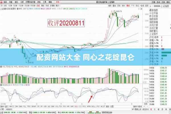 配资网站大全 同心之花绽昆仑