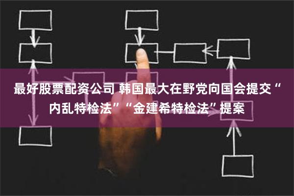 最好股票配资公司 韩国最大在野党向国会提交“内乱特检法”“金建希特检法”提案