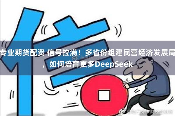 专业期货配资 信号拉满！多省份组建民营经济发展局，如何培育更多DeepSeek